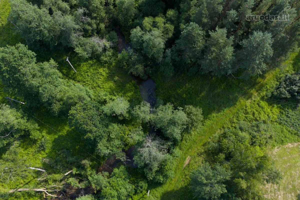 Anykščių rajone, prie pat Kavarsko išskirtinė - nuotraukos Nr. 24