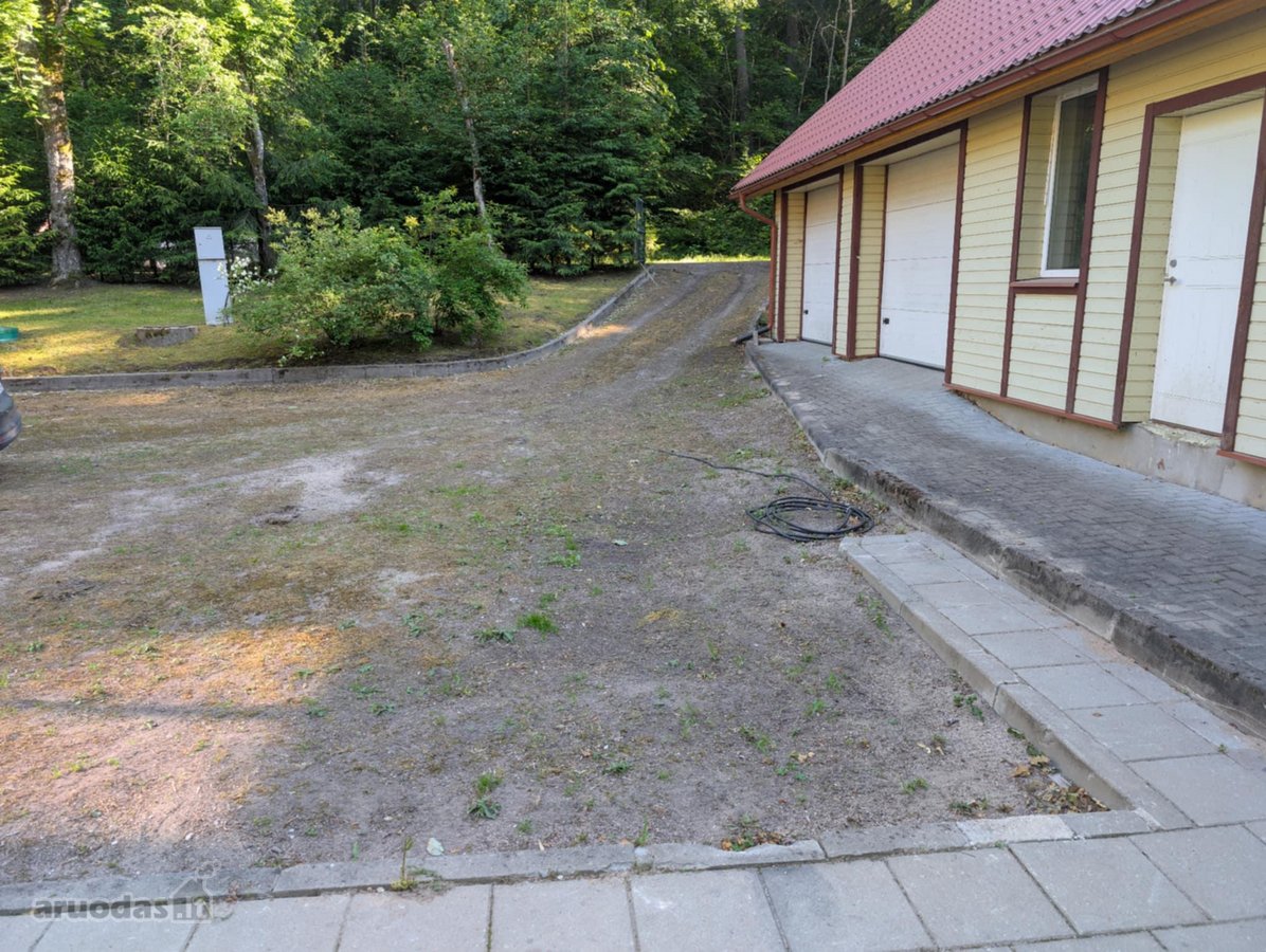 Verkių regioniniame parke, šalia upelio ir - nuotraukos Nr. 4