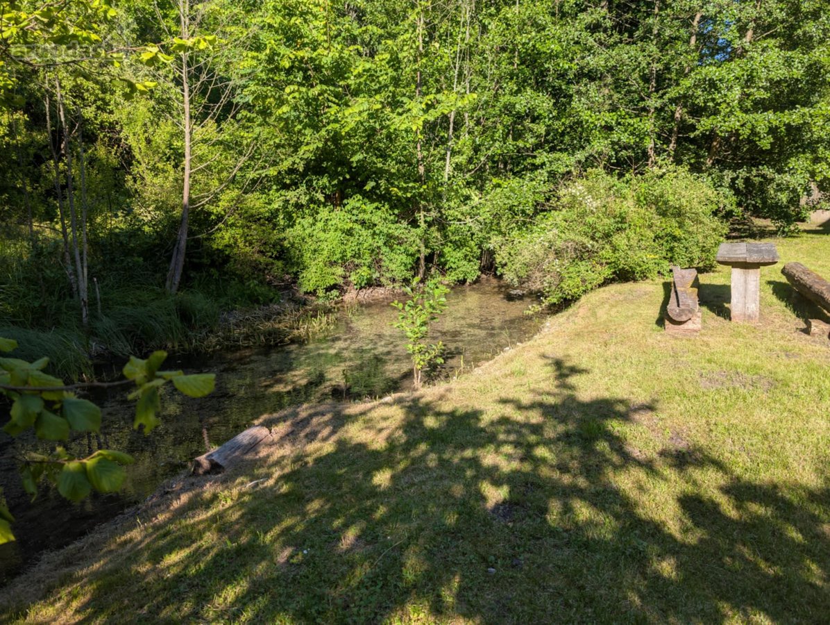Verkių regioniniame parke, šalia upelio ir - nuotraukos Nr. 5