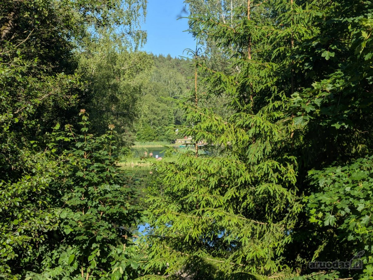 Verkių regioniniame parke, šalia upelio ir - nuotraukos Nr. 7