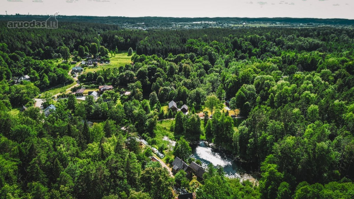 Verkių regioniniame parke, šalia upelio ir - nuotraukos Nr. 10