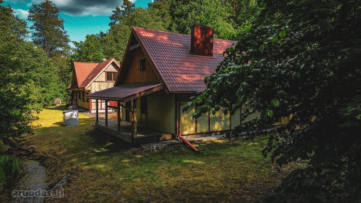 Verkių regioniniame parke, šalia upelio ir - nuotraukos Nr. 13