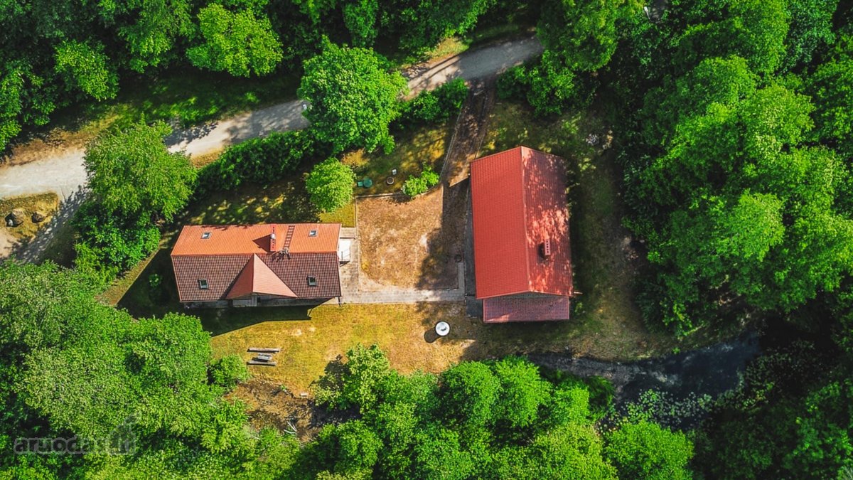 Verkių regioniniame parke, šalia upelio ir - nuotraukos Nr. 14