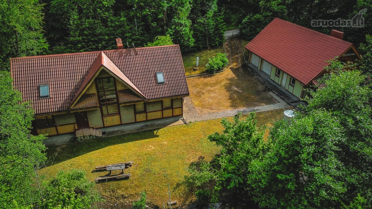 Verkių regioniniame parke, šalia upelio ir - nuotraukos Nr. 16