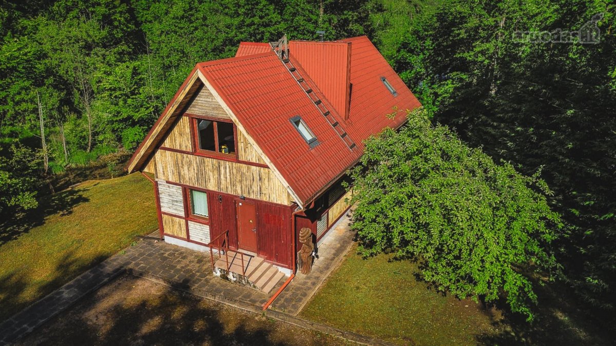 Verkių regioniniame parke, šalia upelio ir - nuotraukos Nr. 2