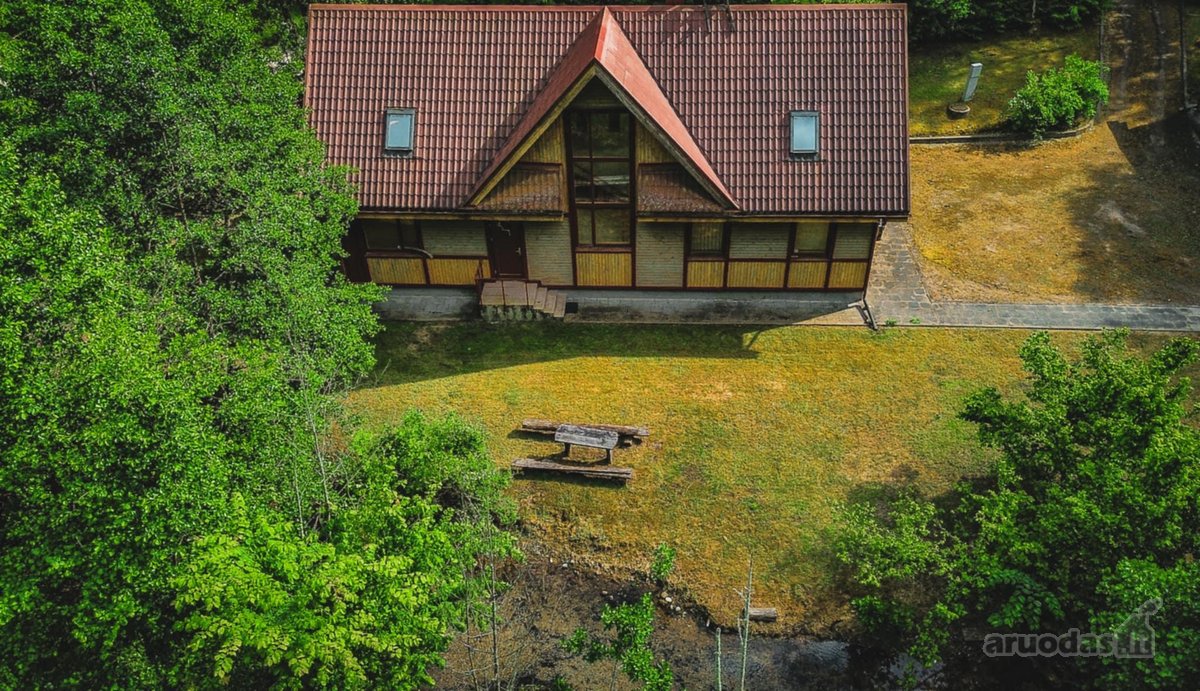 Verkių regioniniame parke, šalia upelio ir - nuotraukos Nr. 20