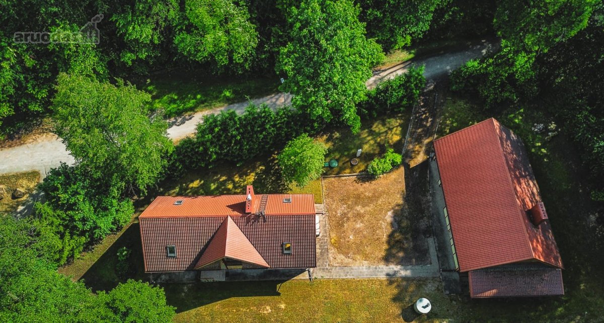 Verkių regioniniame parke, šalia upelio ir - nuotraukos Nr. 21
