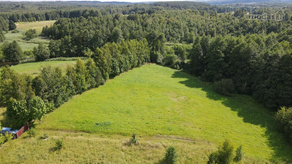 Parduodamas žemės sklypas ant Bražuolės upės - nuotraukos Nr. 2