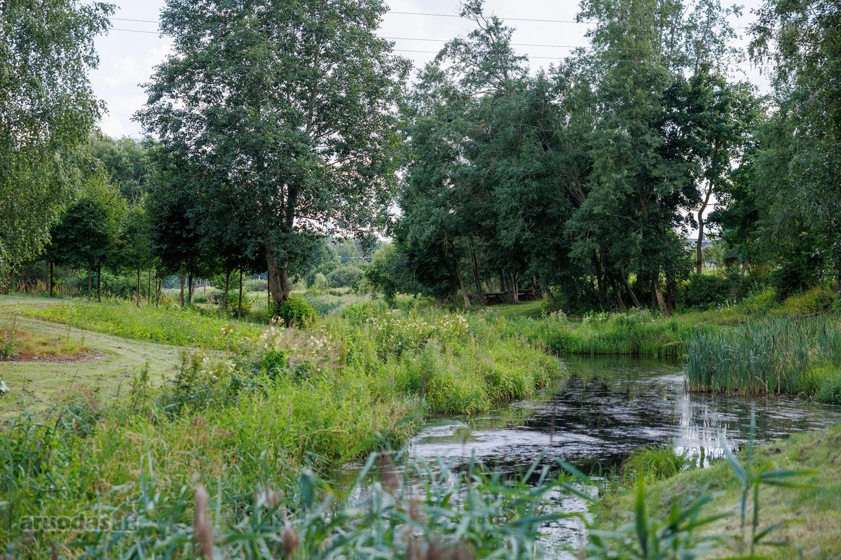 Ant Nemuno Kranto, tarp Birštono ir Kauno, - nuotraukos Nr. 29