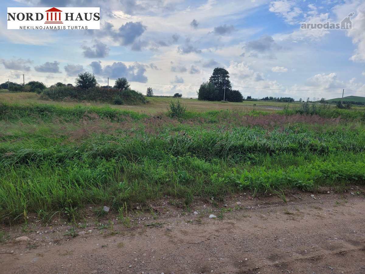 Parduodame visą arba dalį sklypo, vieną iš - nuotraukos Nr. 12