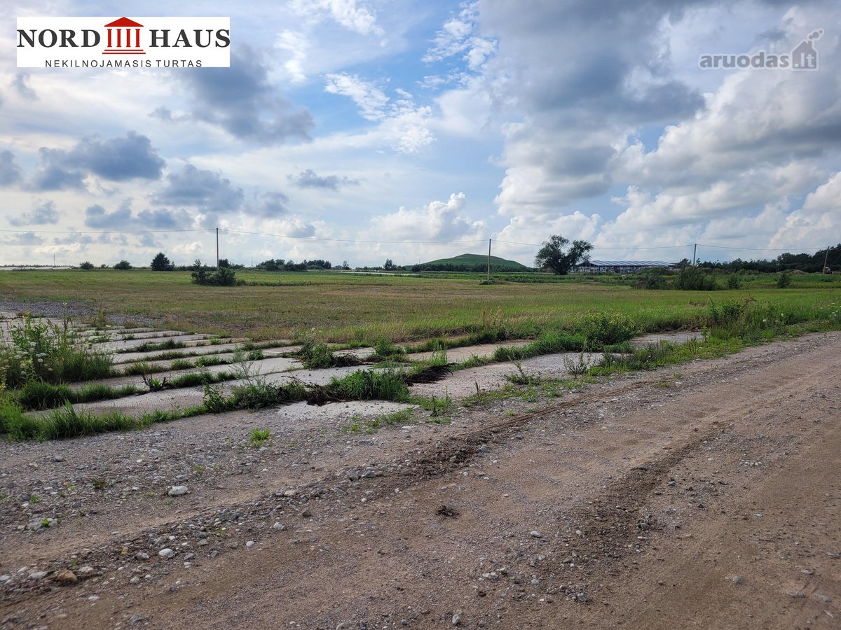Parduodame visą arba dalį sklypo, vieną iš - nuotraukos Nr. 10