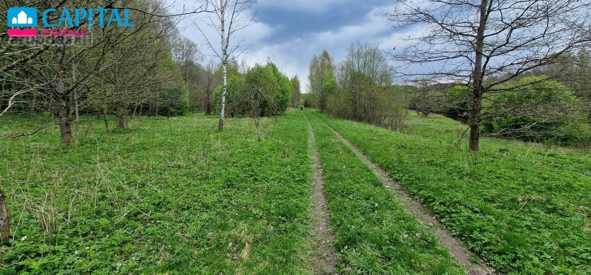 Vaizdingoje Vietoje, Šalia Raseinių - nuotraukos Nr. 5