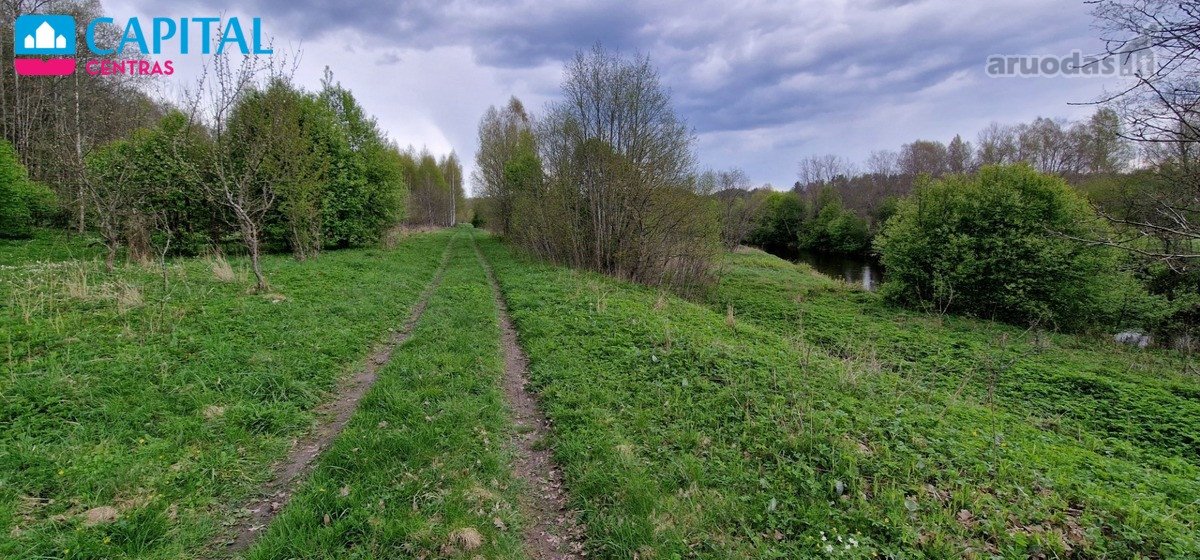 Vaizdingoje Vietoje, Šalia Raseinių - nuotraukos Nr. 6