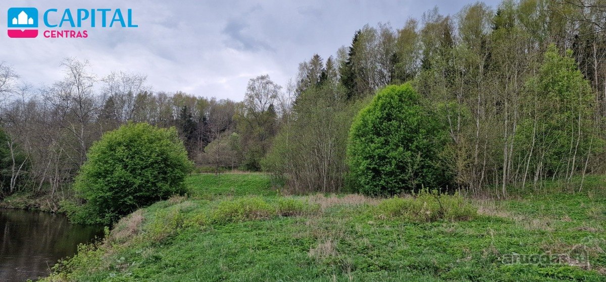 Vaizdingoje Vietoje, Šalia Raseinių - nuotraukos Nr. 7
