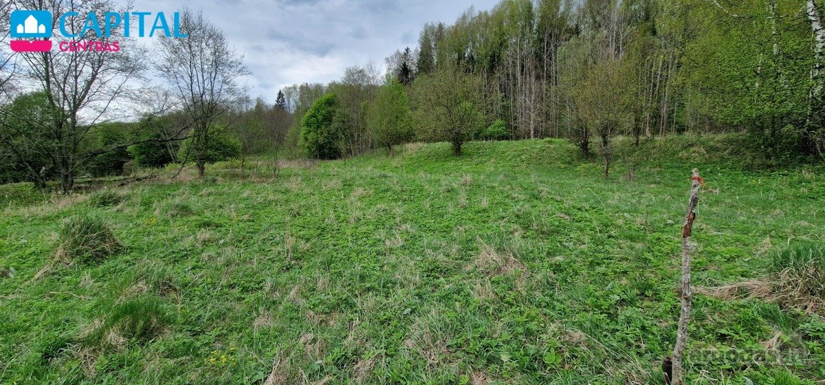 Vaizdingoje Vietoje, Šalia Raseinių - nuotraukos Nr. 11