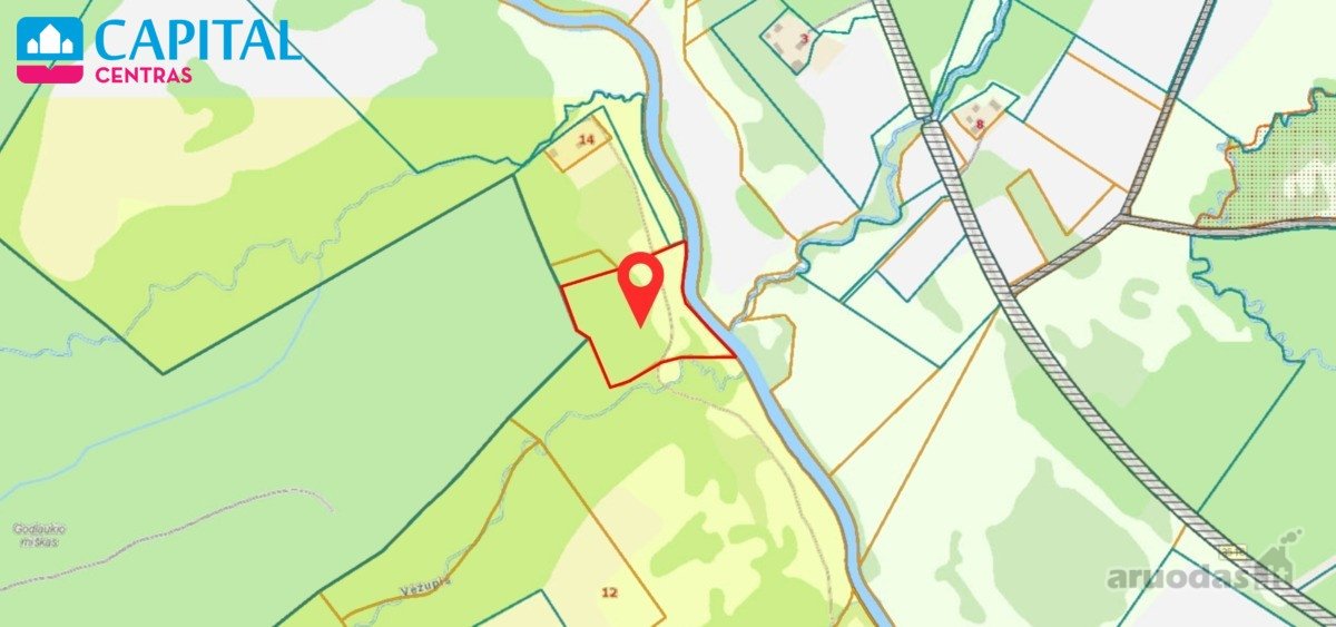 Vaizdingoje Vietoje, Šalia Raseinių - nuotraukos Nr. 14