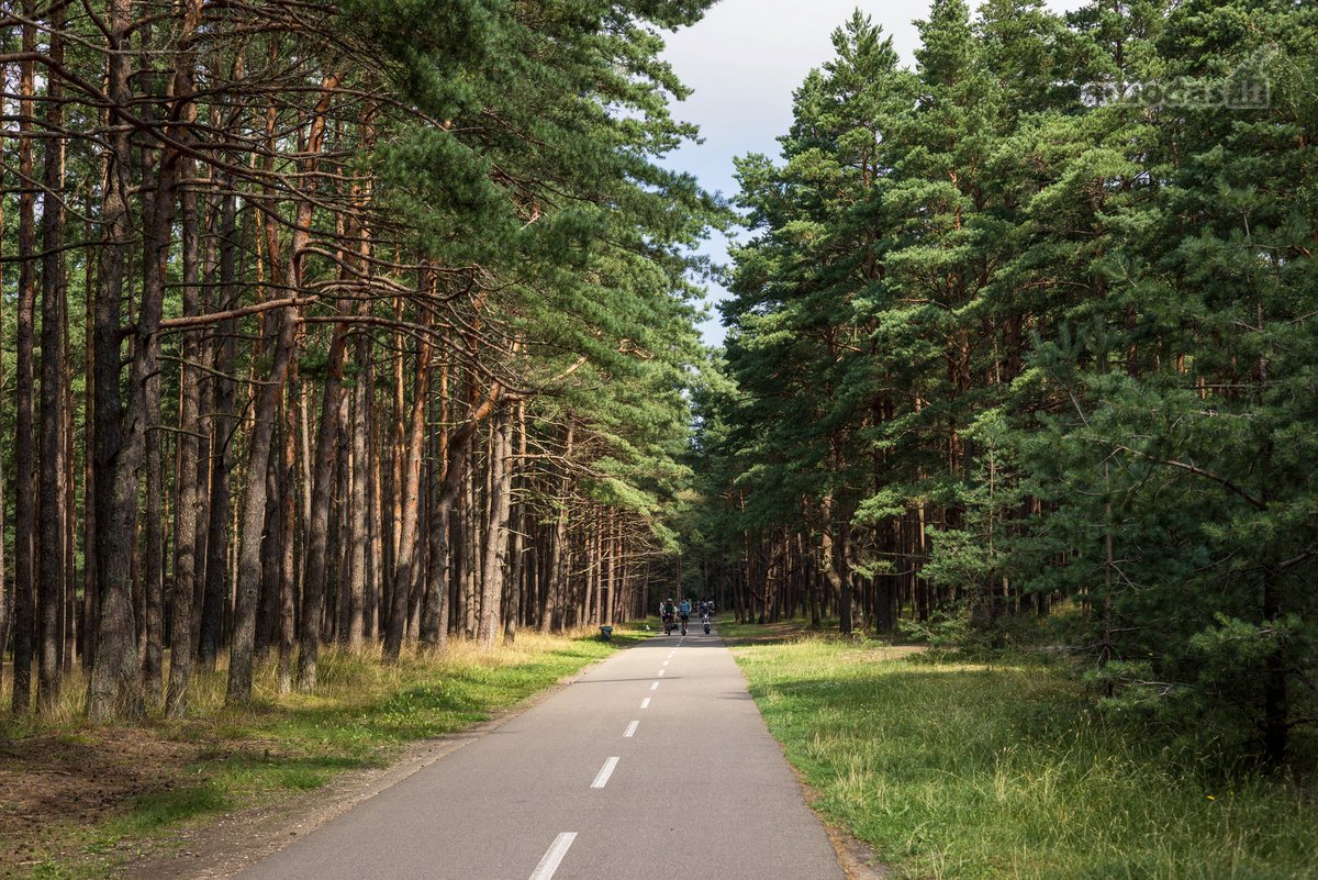 Ritmai – Pajūrio Projektas Gyvenimui Ir - nuotraukos Nr. 31