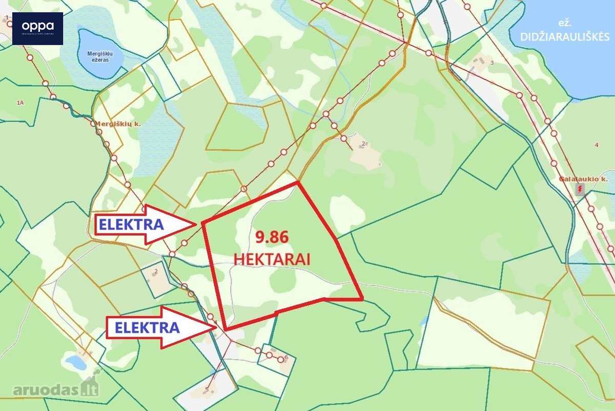 Parduodamas 9,86 ha sklypas prie Velnio - nuotraukos Nr. 9