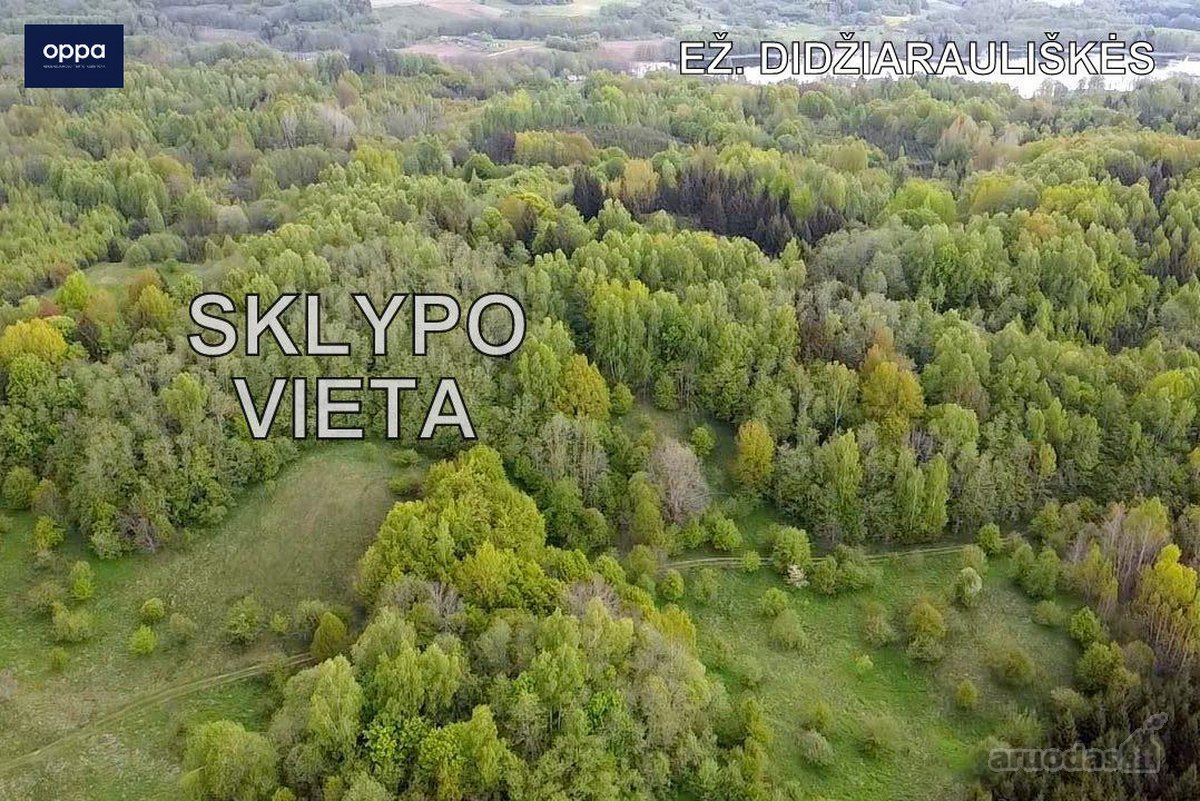Parduodamas 9,86 ha sklypas prie Velnio - nuotraukos Nr. 2