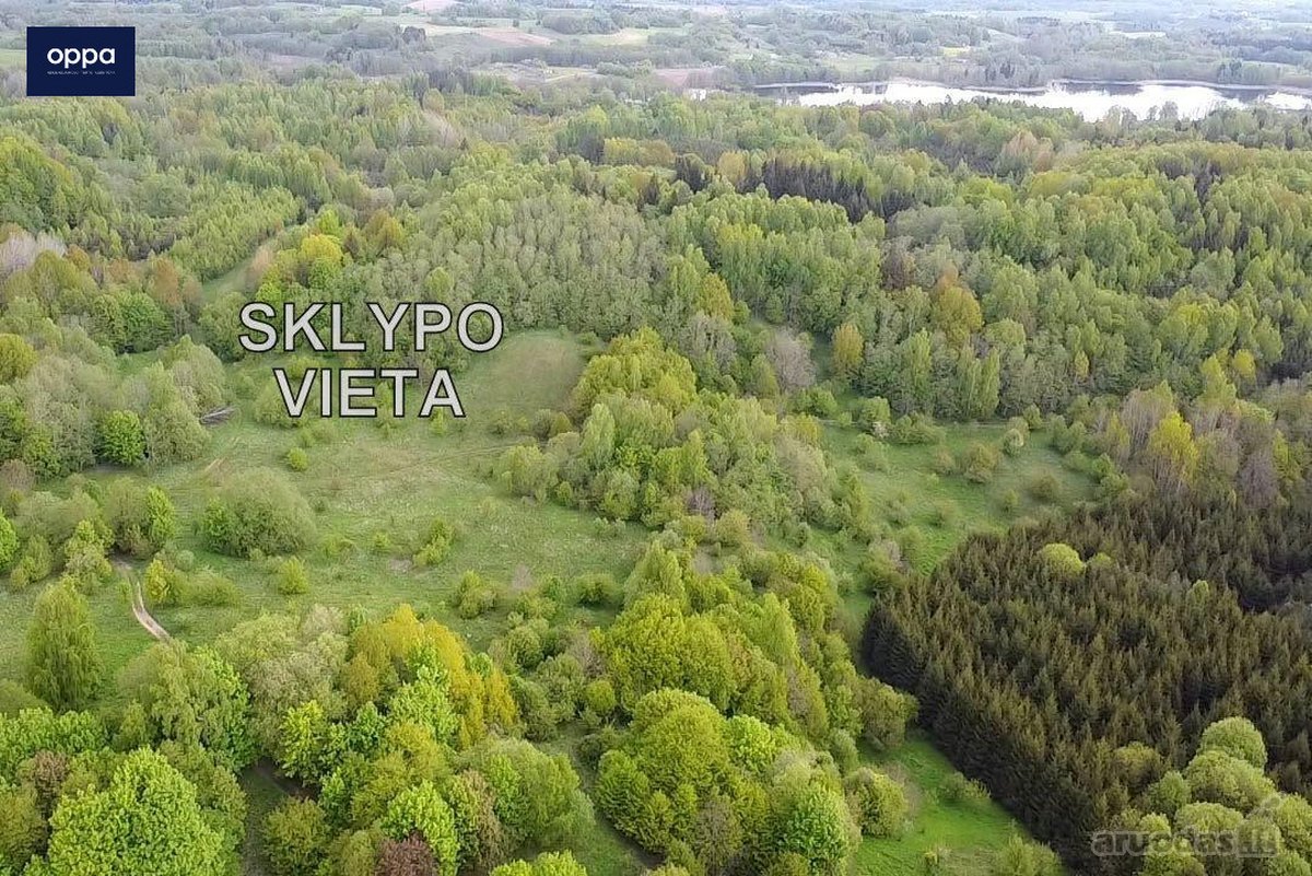 Parduodamas 9,86 ha sklypas prie Velnio - nuotraukos Nr. 7