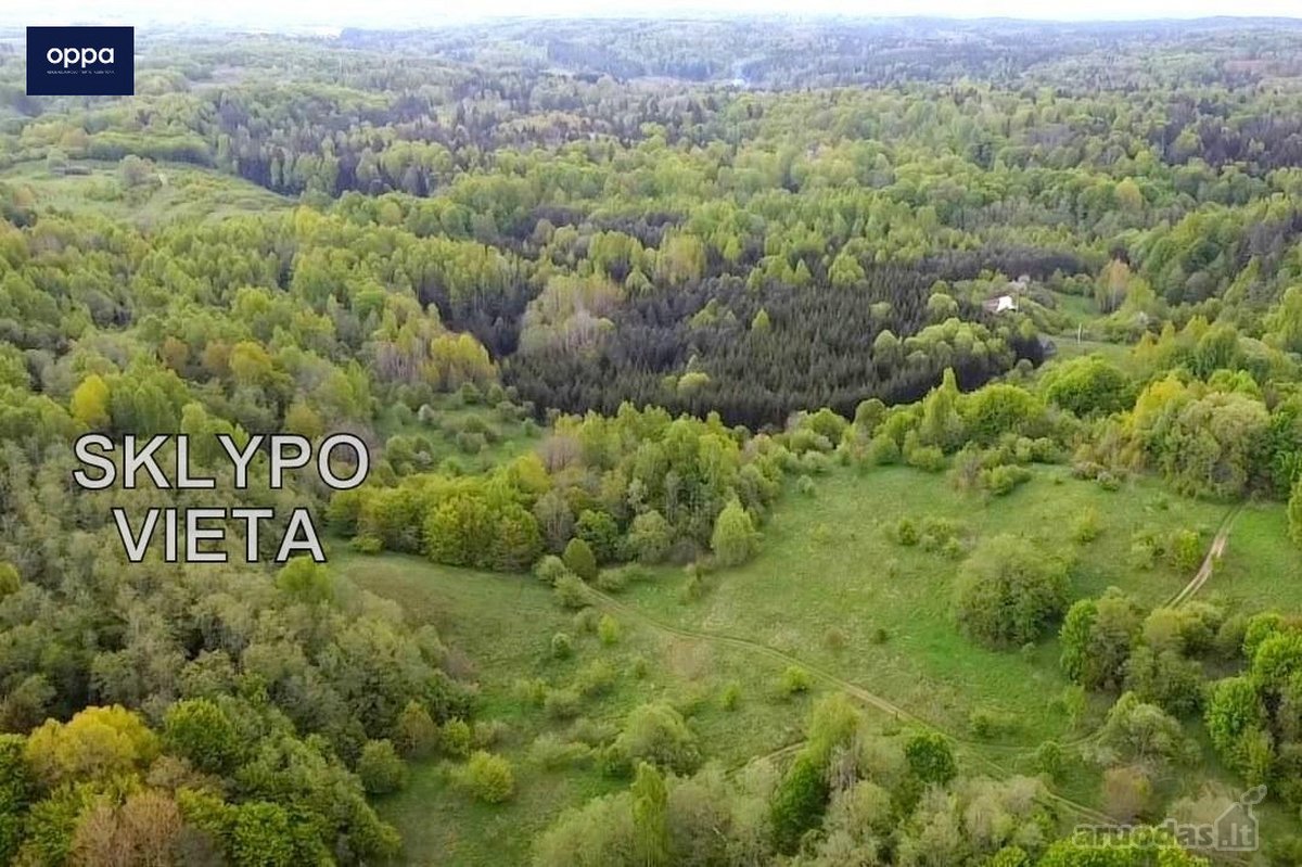 Parduodamas 9,86 ha sklypas prie Velnio - nuotraukos Nr. 8