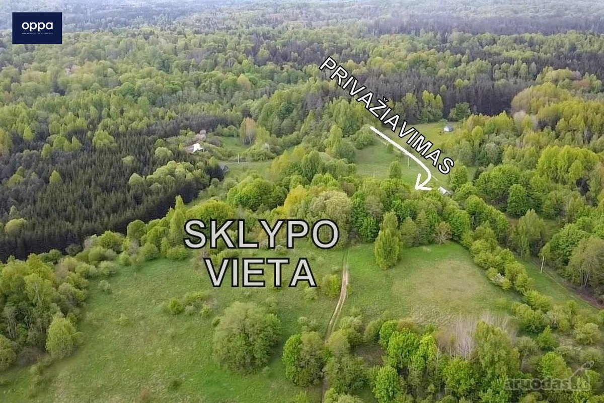 Parduodamas 9,86 ha sklypas prie Velnio - nuotraukos Nr. 6
