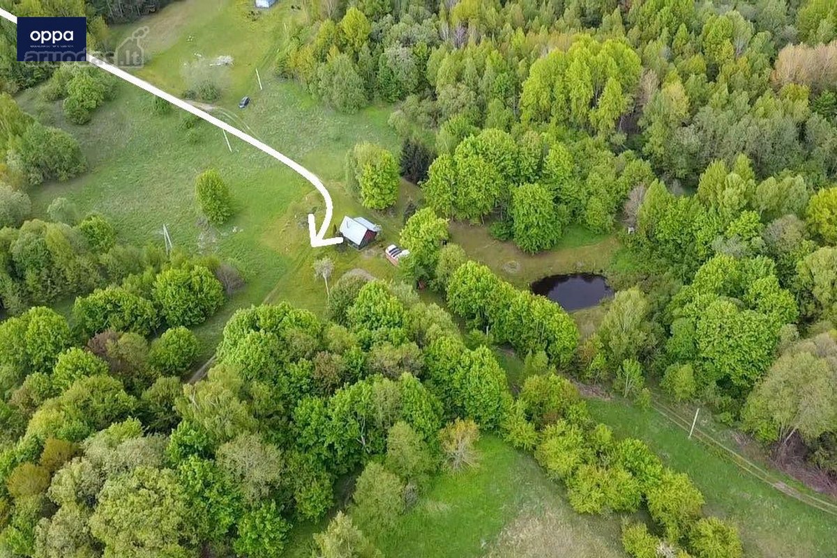 Parduodamas 9,86 ha sklypas prie Velnio - nuotraukos Nr. 4