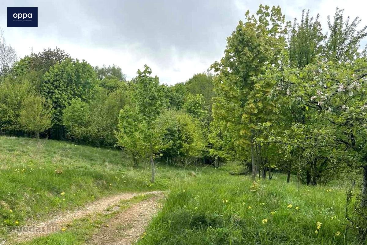 Parduodamas 9,86 ha sklypas prie Velnio - nuotraukos Nr. 5
