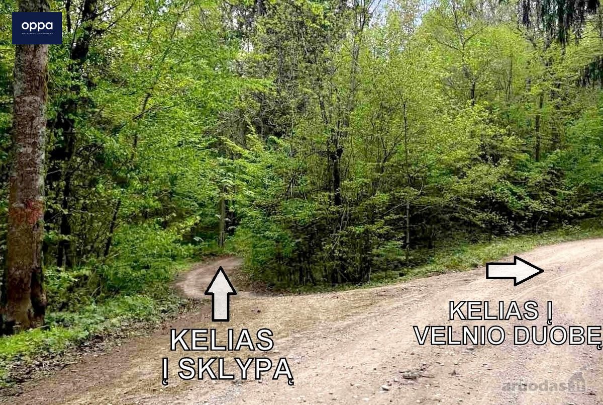 Parduodamas 9,86 ha sklypas prie Velnio - nuotraukos Nr. 3