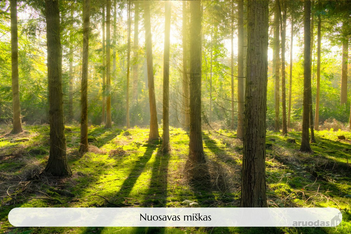 Parduodamas Unikalus Objektas Šeimos - nuotraukos Nr. 21