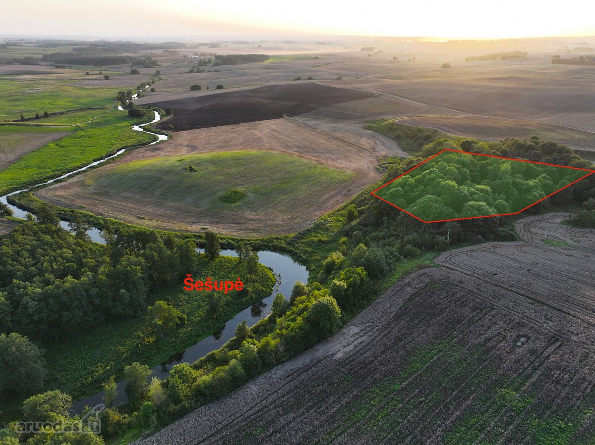 Parduodamas 1.2099 ha buvusi sena sodyba - nuotraukos Nr. 20