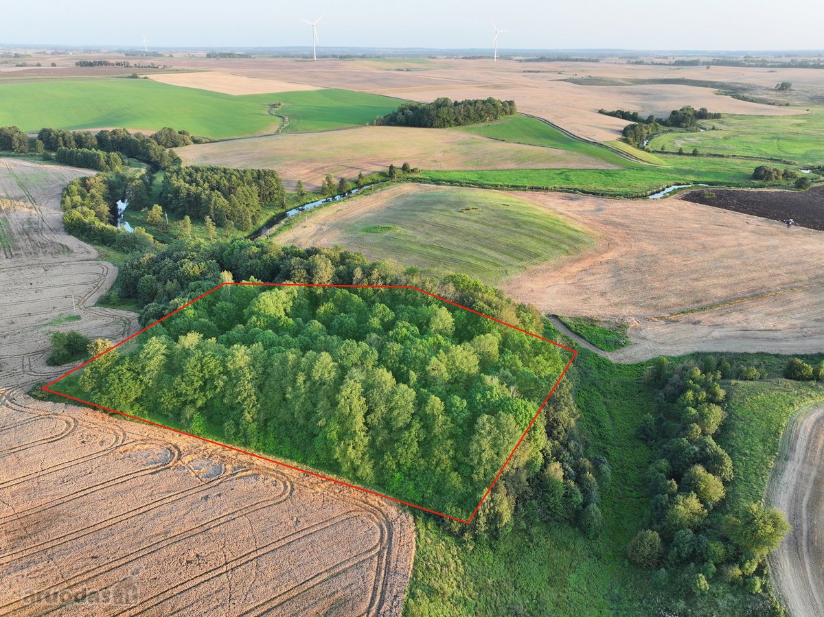 Parduodamas 1.2099 ha buvusi sena sodyba - nuotraukos Nr. 21