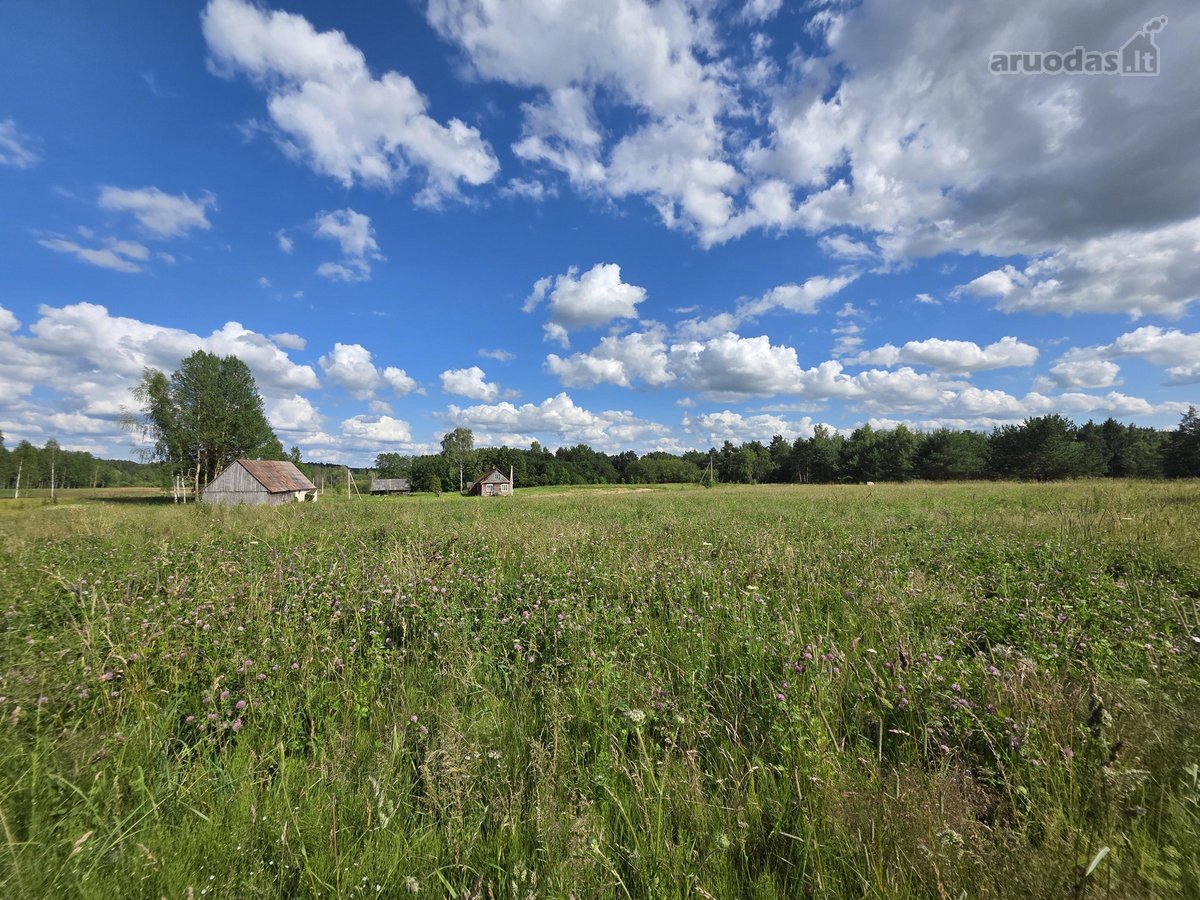 Utenos raj, Sudeikių sen, Nolėnų km, Užpalių - nuotraukos Nr. 11