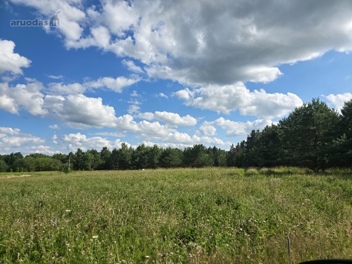 Utenos raj, Sudeikių sen, Nolėnų km, Užpalių - nuotraukos Nr. 14