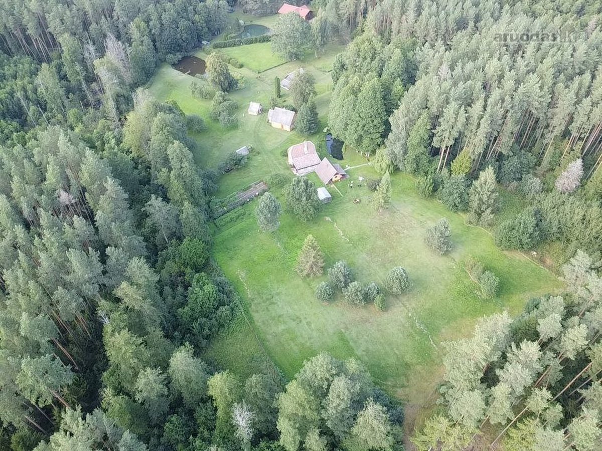 Parduodamas 9.8287 ha miško sklypas Kauno r. - nuotraukos Nr. 3