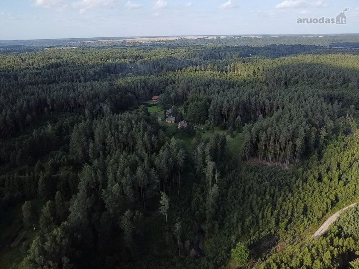 Parduodamas 9.8287 ha miško sklypas Kauno r. - nuotraukos Nr. 4