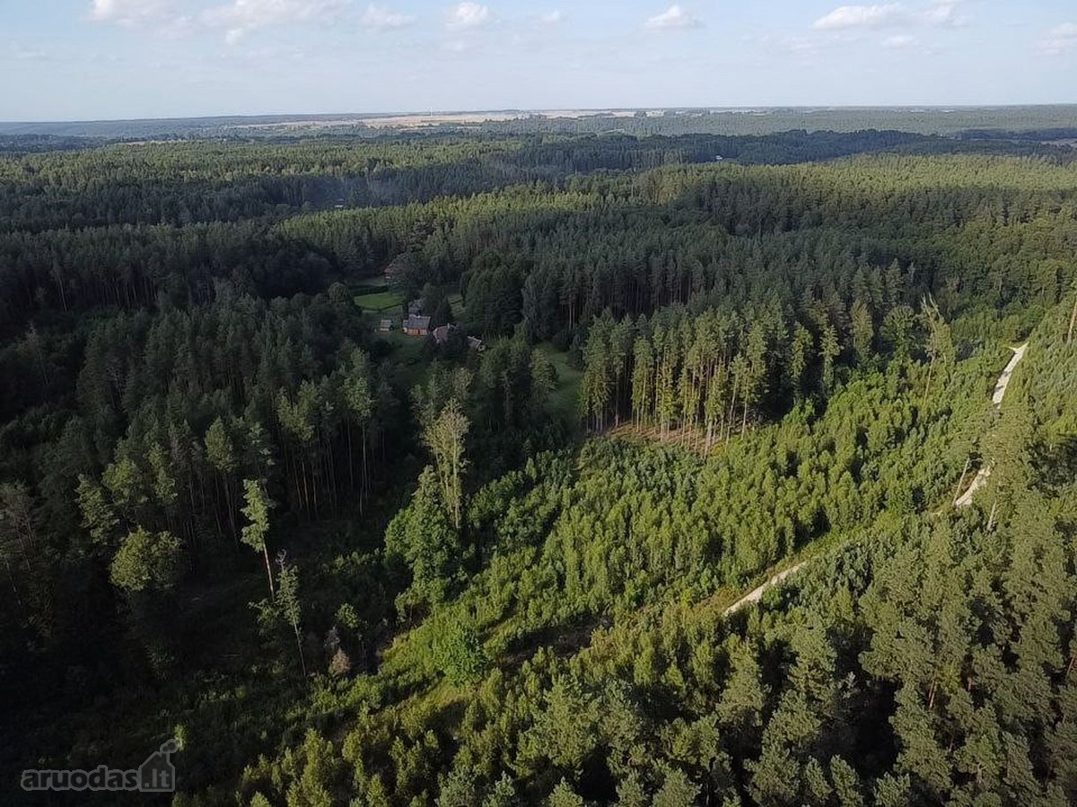 Parduodamas 9.8287 ha miško sklypas Kauno r. - nuotraukos Nr. 5