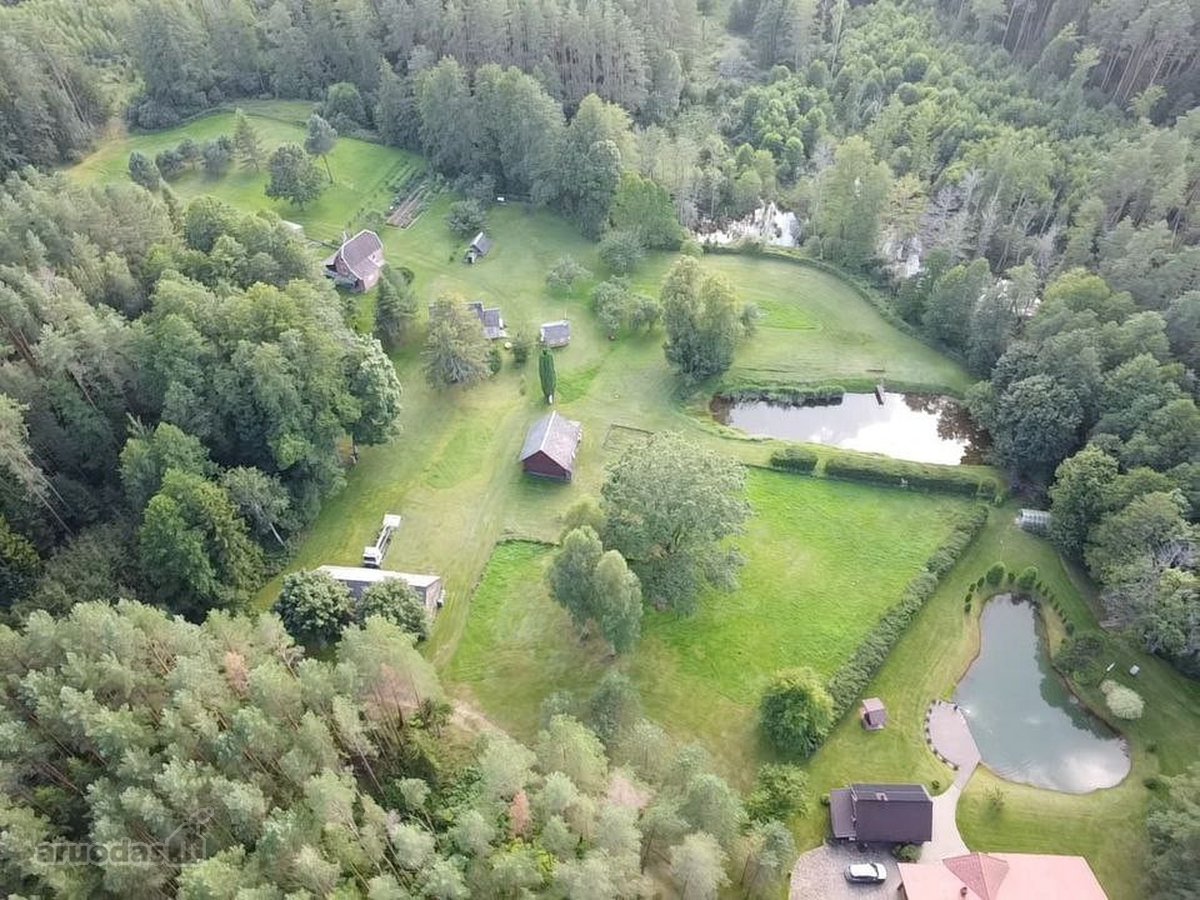 Parduodamas 9.8287 ha miško sklypas Kauno r. - nuotraukos Nr. 12