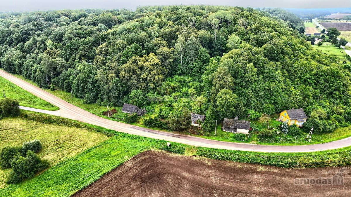 Išskirtinis sklypas prie Dubysos - nuotraukos Nr. 7