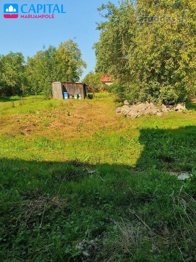 Kalvarijos miesto centrinėje gatvėje - nuotraukos Nr. 4