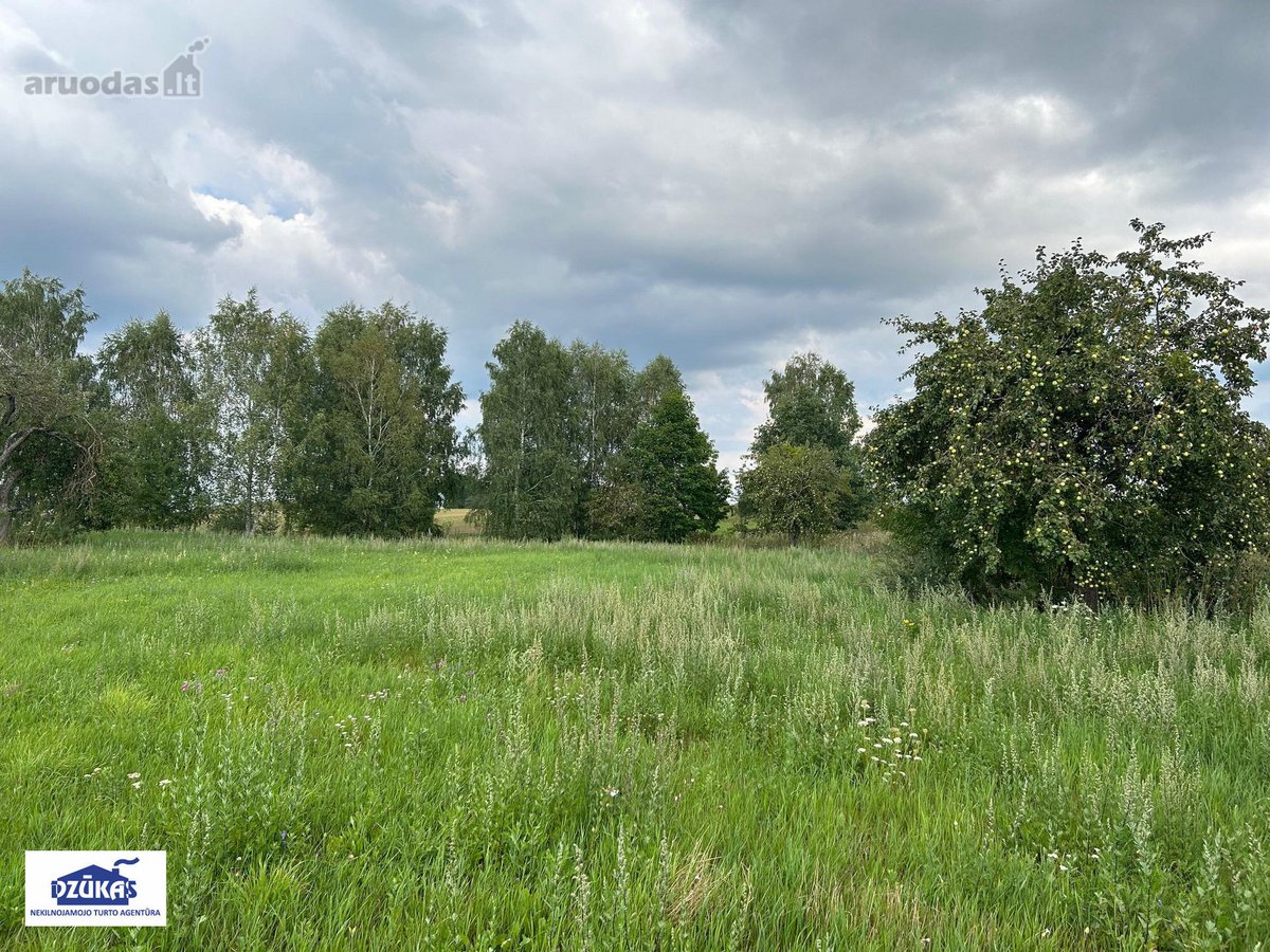 Nedideliame Petroškų kaime, visai šalia - nuotraukos Nr. 9