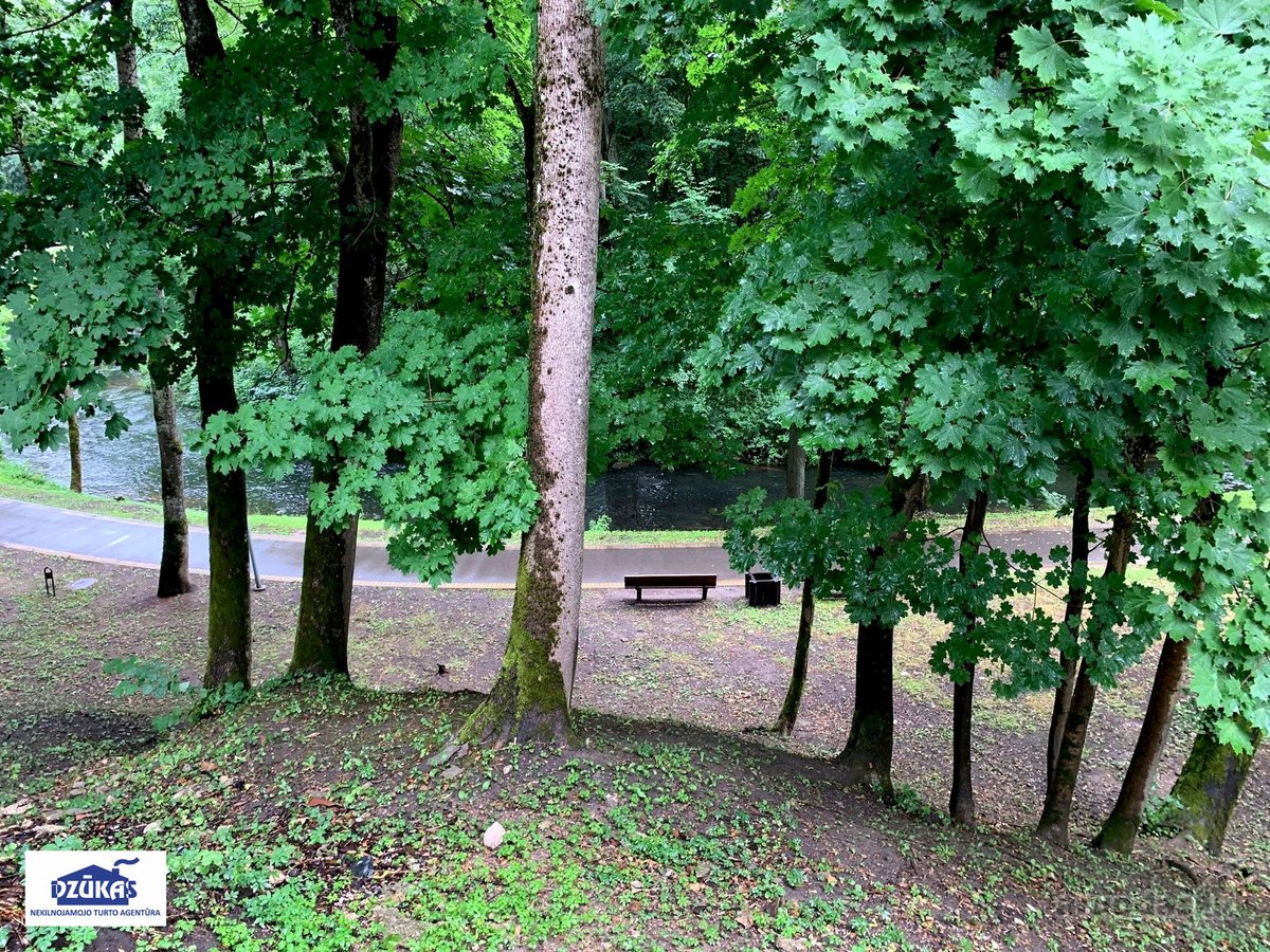 Gyventi Druskininkuose, šalia Ratnyčėlės - nuotraukos Nr. 21