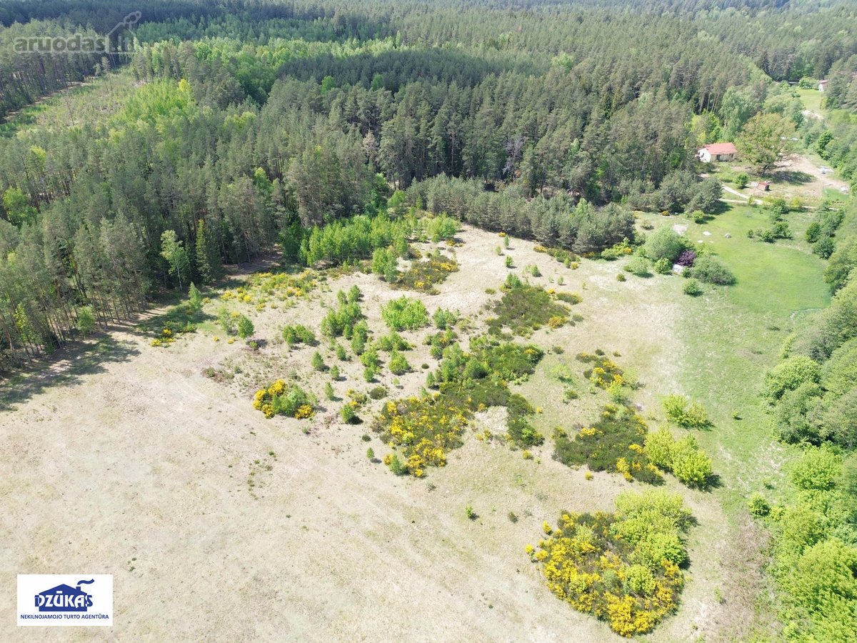 Parduodamas žemės ūkio paskirties žemės - nuotraukos Nr. 2