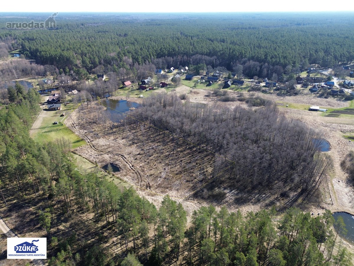 Parduodamas 1,3881 ha žemės ūkio paskirties - nuotraukos Nr. 3