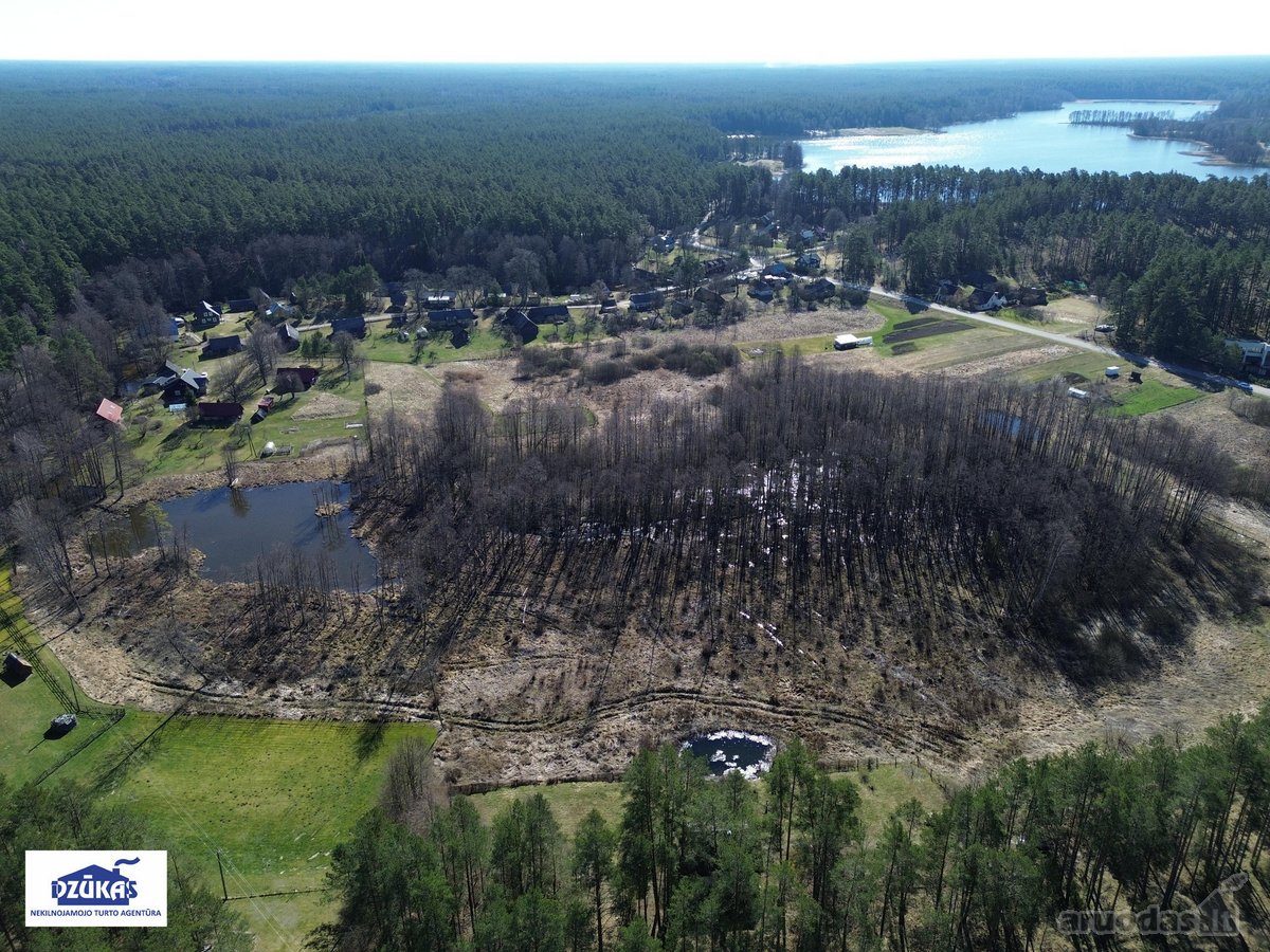 Parduodamas 1,3881 ha žemės ūkio paskirties - nuotraukos Nr. 4