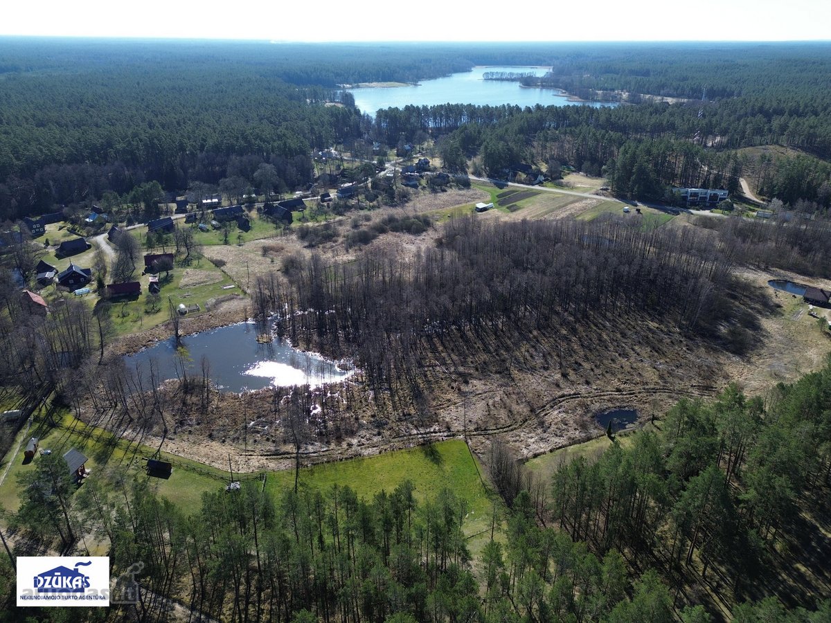 Parduodamas 1,3881 ha žemės ūkio paskirties - nuotraukos Nr. 5