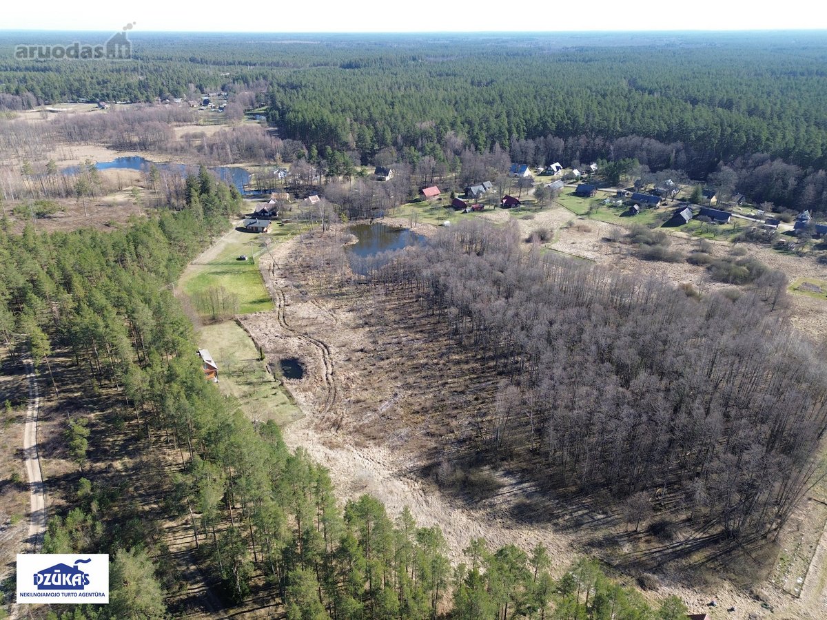 Parduodamas 1,3881 ha žemės ūkio paskirties - nuotraukos Nr. 7