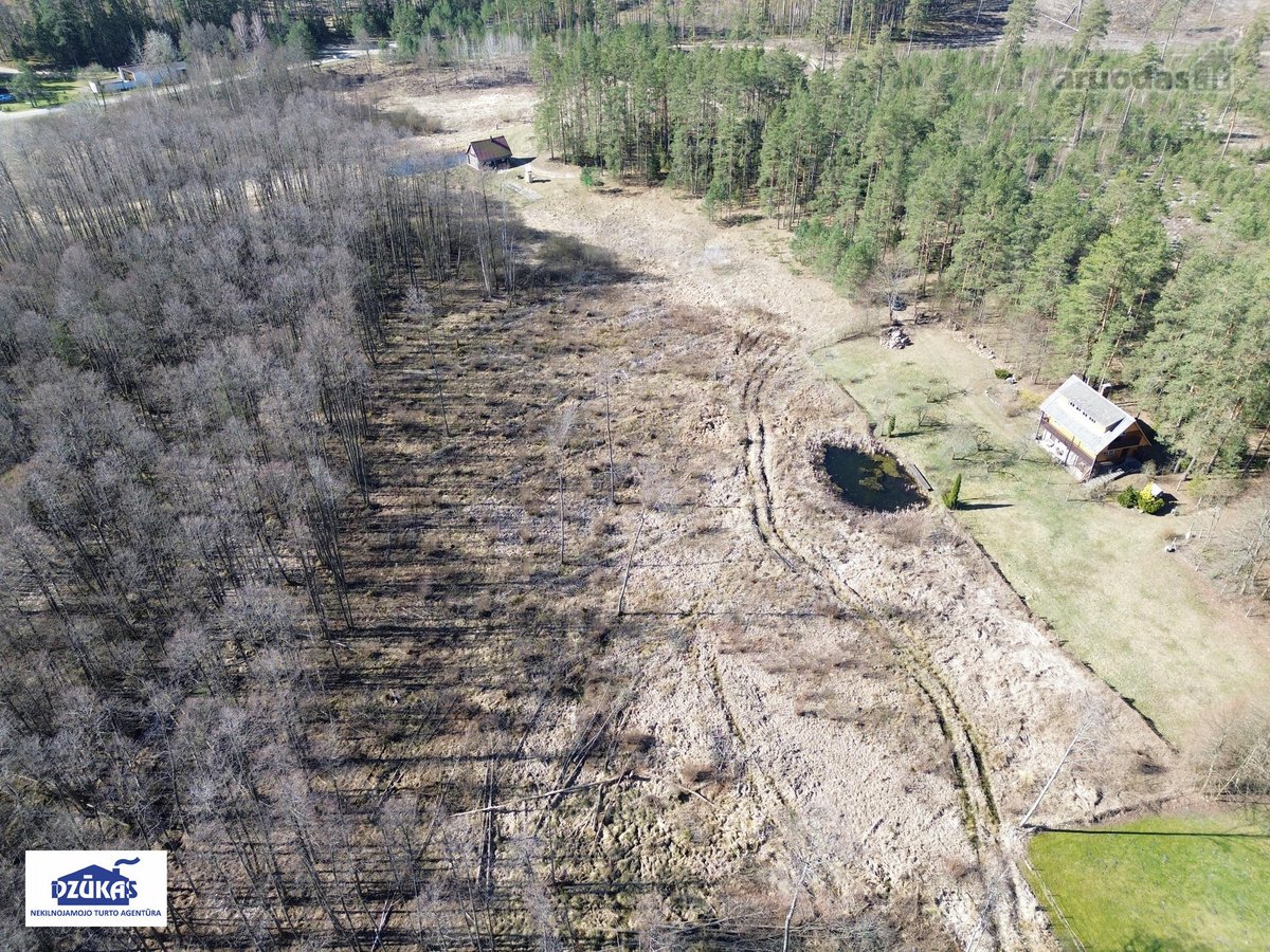 Parduodamas 1,3881 ha žemės ūkio paskirties - nuotraukos Nr. 15