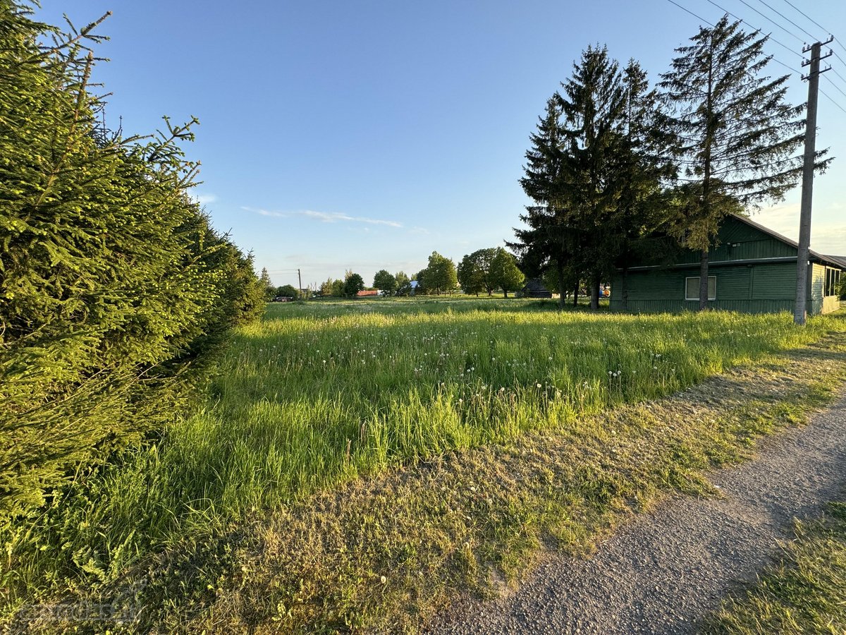 Parduodamas erdvus 60 arų namų valdos sklypas - nuotraukos Nr. 3