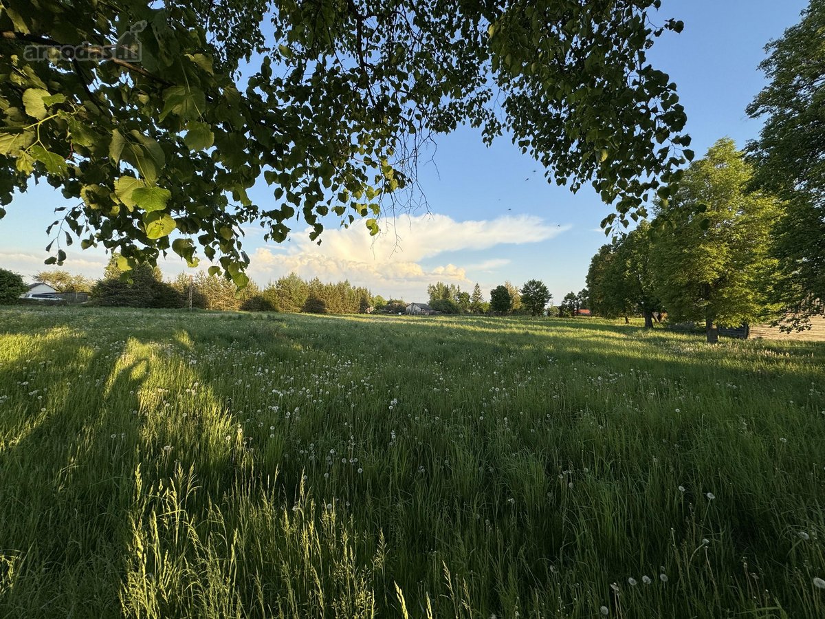 Parduodamas erdvus 60 arų namų valdos sklypas - nuotraukos Nr. 5